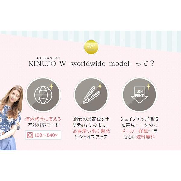 正規代理店品 1年保証 絹女 KINUJO W -worldwide model DS100