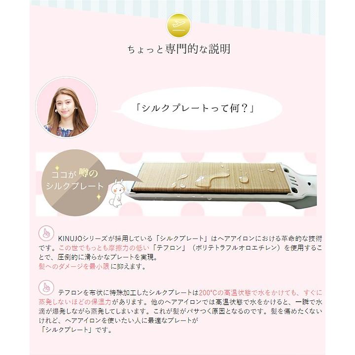 KINUJO 正規代理店品 1年保証 絹女 W -worldwide model DS100