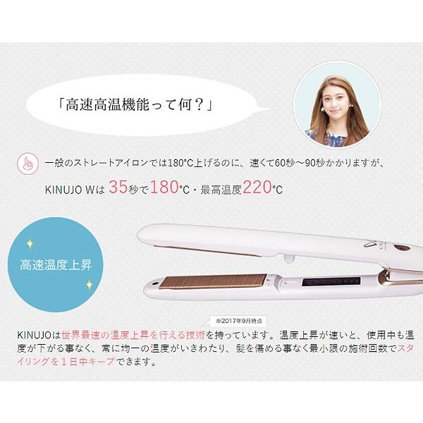 正規代理店品 1年保証 絹女 KINUJO W -worldwide model DS100