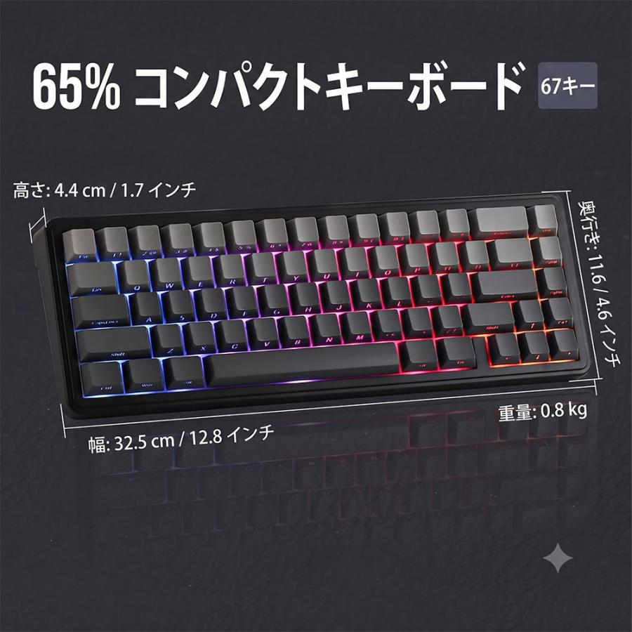 【正規品】EPOMAKER エポメーカー AULA F65 ワイヤレス ゲーミングキーボード メカニカル テンキーレス 65% ガスケット RGB ホットスワップ 黒 青 |  | 08
