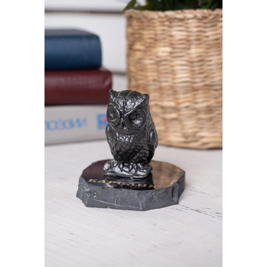 シュンガイト フクロウの置物 FIG16 置物 ふくろう ロシア カレリア共和国産 フィギア インテリア 庭 部屋 玄関先 シュンガ石 水 ブレスレット さざれ石 電磁波 |  | 05