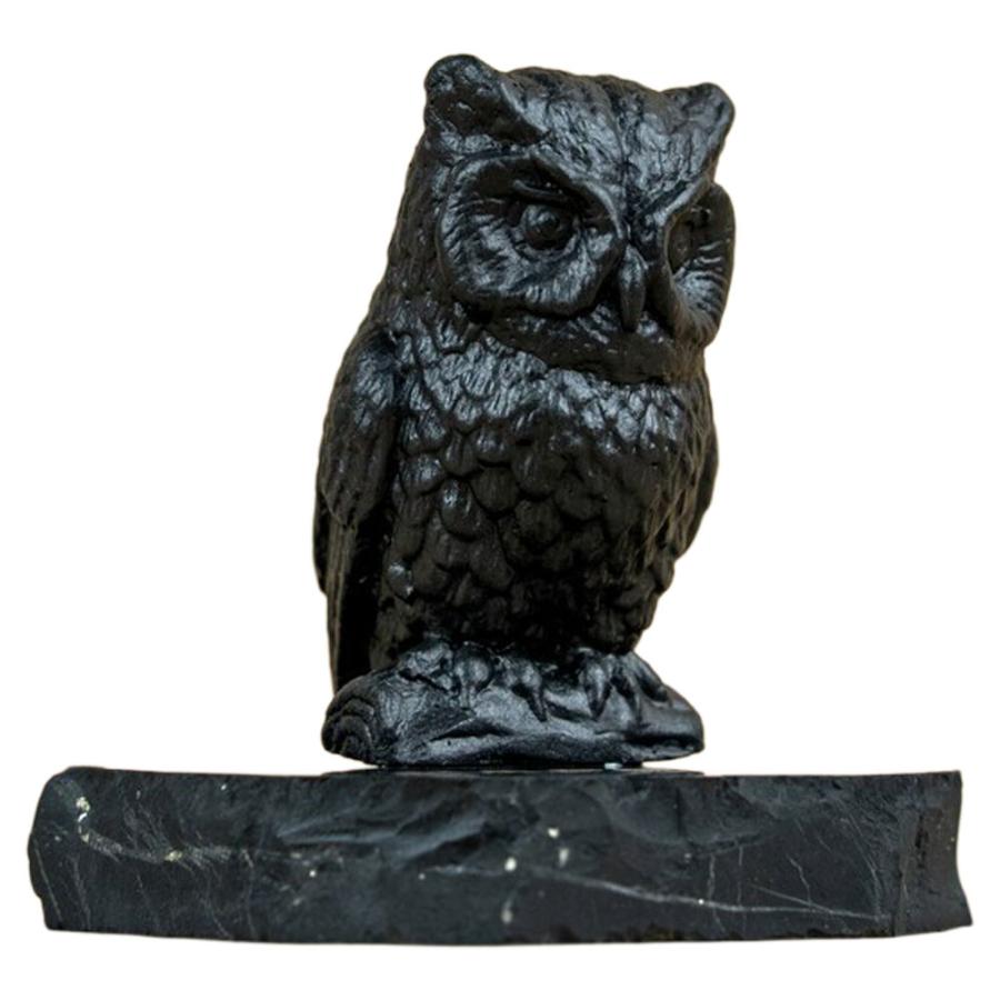 シュンガイト フクロウの置物 FIG16 置物 ふくろう ロシア カレリア共和国産 フィギア インテリア 庭 部屋 玄関先 シュンガ石 水 ブレスレット さざれ石 電磁波 |  | 06