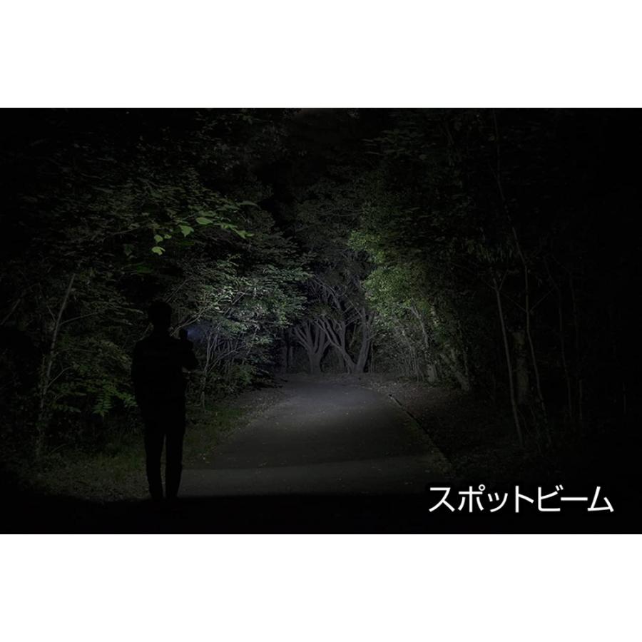 GENTOS ジェントス LED 懐中電灯 FLP-2306 フラッシュライト ライト 強力 小型 充電式 防災 電池 電池式 明るさ350ルーメン 実用点灯6時間 耐塵 防滴 閃 |  | 03