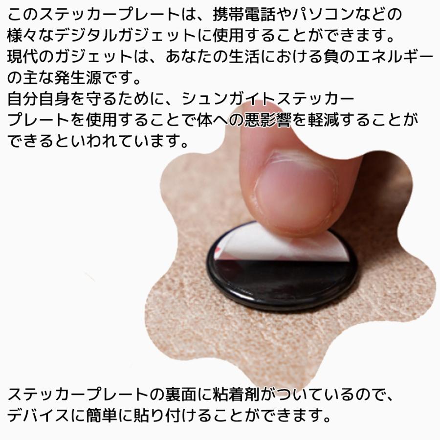 カレリアヘリテージ シュンガイト ステッカー 20mm 円形 9枚セット 丸型 FRE10 Karelian Heritage ロシア カレリア共和国産 シュンガ石 水 ペンダント |  | 01