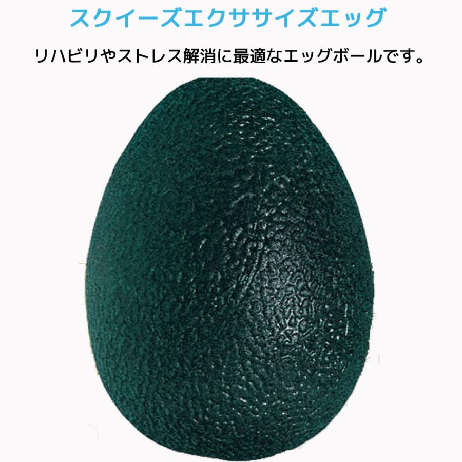 RPM Sports グリップキットパック 指 握力 筋トレ リハビリ エクササイズ 筋力トレーニング ハンドグリップ ハンドグリッパー 10 20 30 40 50 Kg パワーボール |  | 04