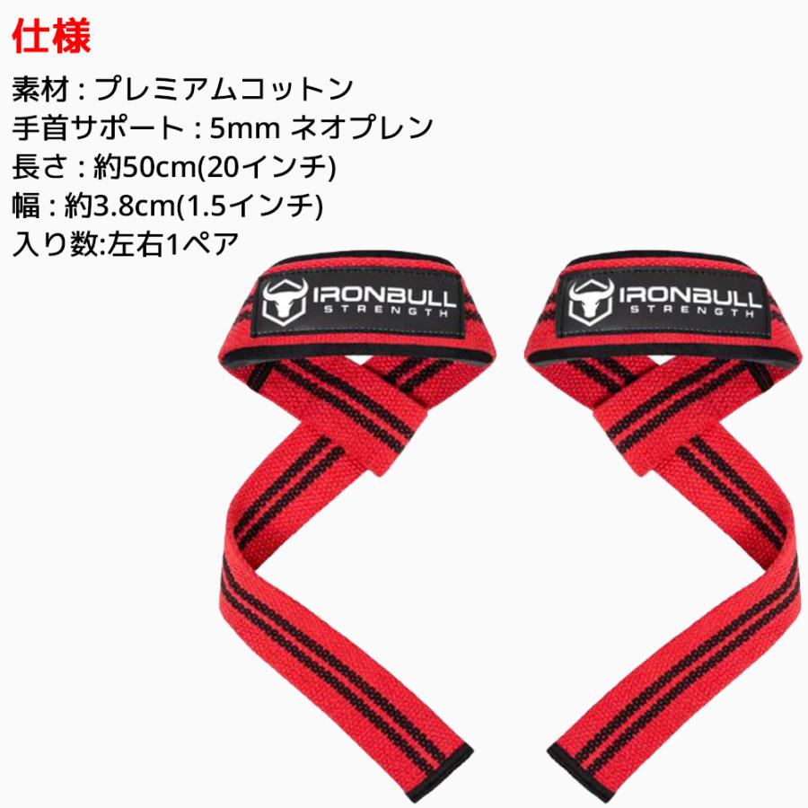 IRON BULL クラシック リフティングストラップ パッド入り リスト