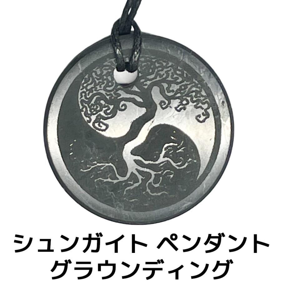 シュンガイト ペンダント  グラウンディング PE145 ネックレス ロシア カレリア共和国産 シュンガ石 水 ブレスレット | 