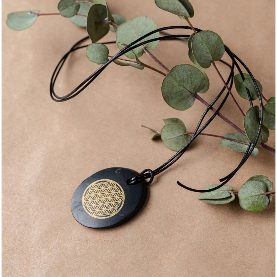 シュンガイト ペンダント フラワーオブライフ(オーバル) PE47 ネックレス ロシア カレリア共和国産 シュンガ石 水 ブレスレット さざれ石 電磁波 パワーストーン |  | 03