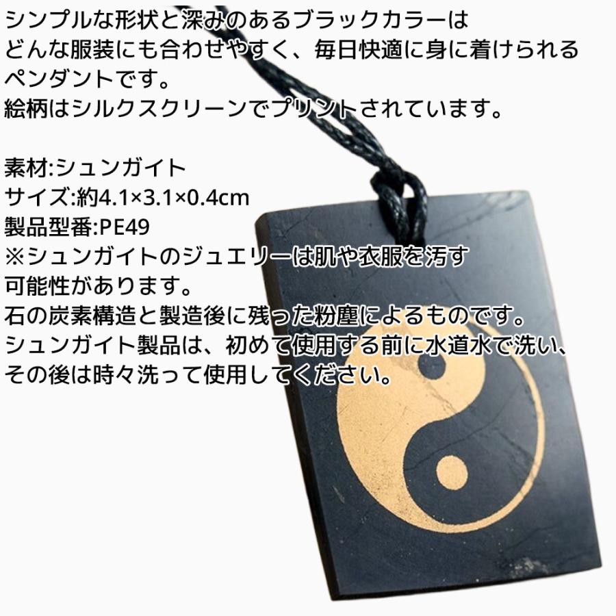 シュンガイト ペンダント 陰陽(レクタングル) PE49 ネックレス ロシア カレリア共和国産 シュンガ石 水 ブレスレット さざれ石 電磁波 パワーストーン シルバー |  | 01
