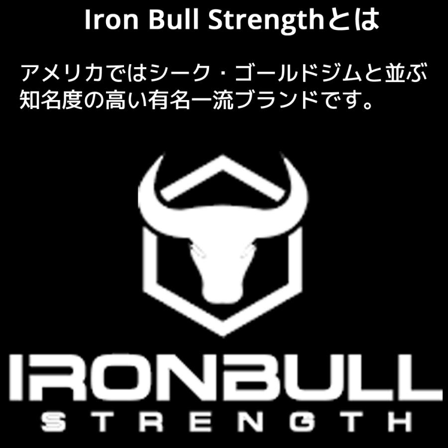Iron Bull Strength 10mm トレーニングベルト アイアンブル