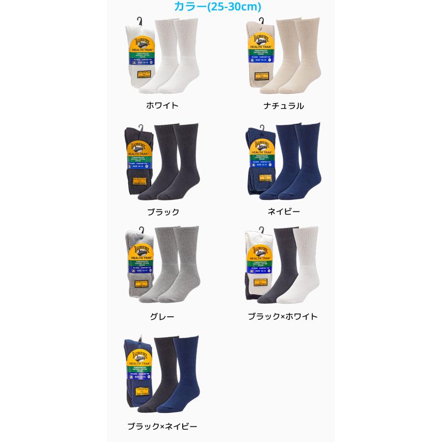 RAILROAD SOCK THERAPEUTIC クルー ソックス 2足セット メンズ