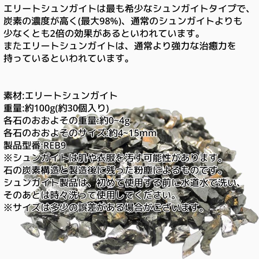 エリートシュンガイト 100g 4-15mm ロシア カレリア共和国産 エリート