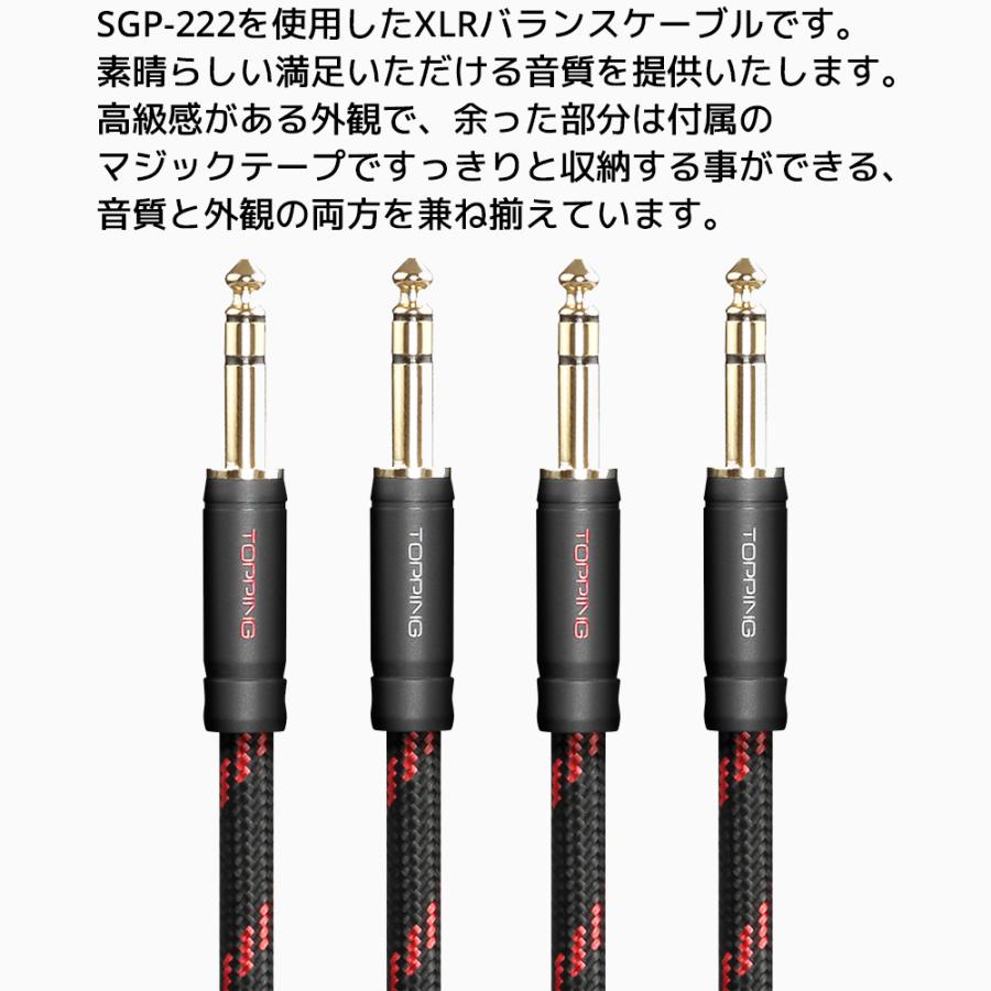 Topping TRS - TRS ケーブル 75cm 2本セット TCT1-75 トッピング バランスケーブル 6N単結晶銅 SGP-222 コンボ 端子 0.75m | TOPPING | 01