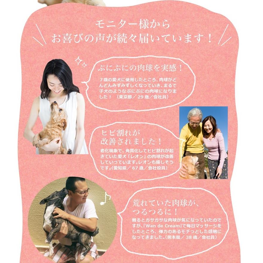 わんどくりーむ 100% 天然素材 肉球ケアクリーム 30ml WAN de CREAM キャプトスタイル CAPT.STYLE 肉球保護 犬 猫 ペット 用品 保湿 皮膚 肌 手 足 軟膏 |  | 11