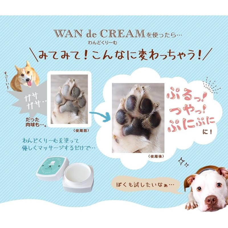 わんどくりーむ 100% 天然素材 肉球ケアクリーム 30ml WAN de CREAM キャプトスタイル CAPT.STYLE 肉球保護 犬 猫 ペット 用品 保湿 皮膚 肌 手 足 軟膏 |  | 16