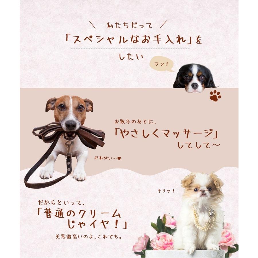 わんどくりーむ 100% 天然素材 肉球ケアクリーム 30ml WAN de CREAM キャプトスタイル CAPT.STYLE 肉球保護 犬 猫 ペット 用品 保湿 皮膚 肌 手 足 軟膏 |  | 02