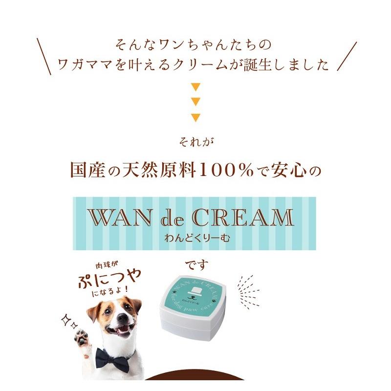 わんどくりーむ 100% 天然素材 肉球ケアクリーム 30ml WAN de CREAM キャプトスタイル CAPT.STYLE 肉球保護 犬 猫 ペット 用品 保湿 皮膚 肌 手 足 軟膏 |  | 03