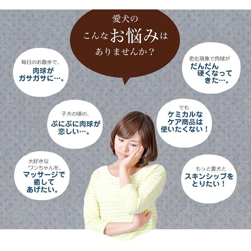 わんどくりーむ 100% 天然素材 肉球ケアクリーム 30ml WAN de CREAM キャプトスタイル CAPT.STYLE 肉球保護 犬 猫 ペット 用品 保湿 皮膚 肌 手 足 軟膏 |  | 04