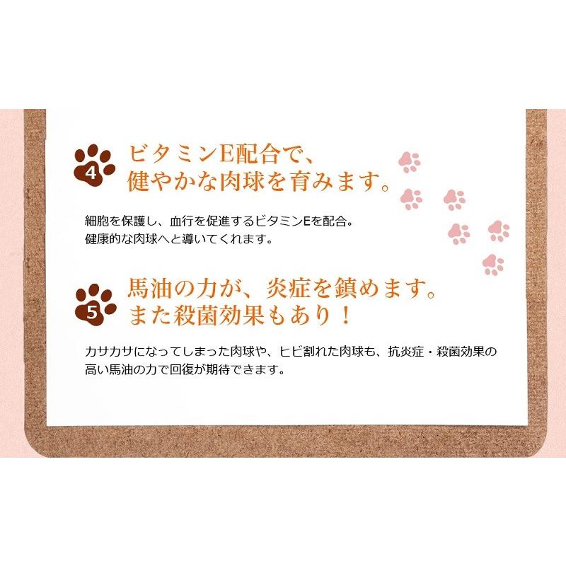 わんどくりーむ 100% 天然素材 肉球ケアクリーム 30ml WAN de CREAM キャプトスタイル CAPT.STYLE 肉球保護 犬 猫 ペット 用品 保湿 皮膚 肌 手 足 軟膏 |  | 07