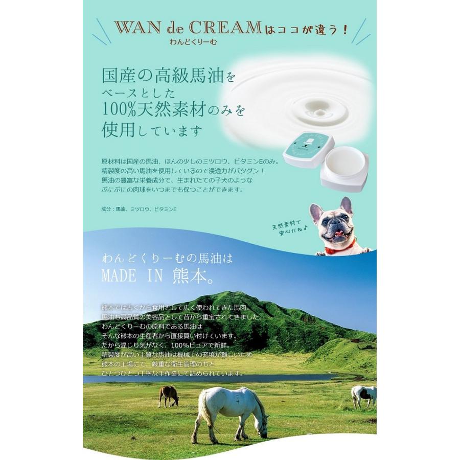 わんどくりーむ 100% 天然素材 肉球ケアクリーム 30ml WAN de CREAM キャプトスタイル CAPT.STYLE 肉球保護 犬 猫 ペット 用品 保湿 皮膚 肌 手 足 軟膏 |  | 09