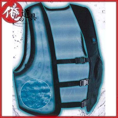 大進（DAISHIN) ひんやり水冷ベスト WCV-D24F