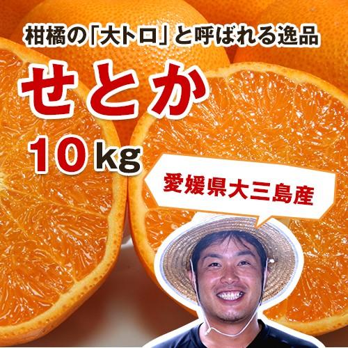 せとか お得用大きさふぞろい10kg(愛媛県大三島産)ノー せとか お得用大きさふぞろい10kg(愛媛県大三島産)ノー