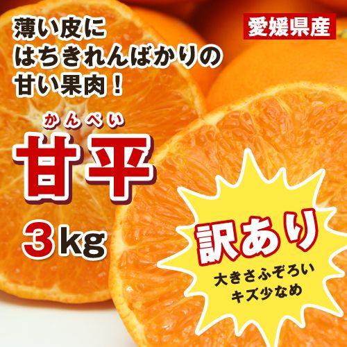 家庭用【大きさふぞろいキズお得】甘平（かんぺい）潮風3kg（愛媛県