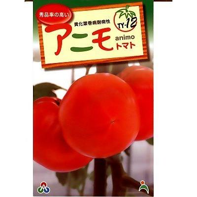 全品送料0円 アニモ 武蔵野種苗園と朝日工業のトマト種です ｔｙ １２ 果菜 Www Dimariamalasanita It