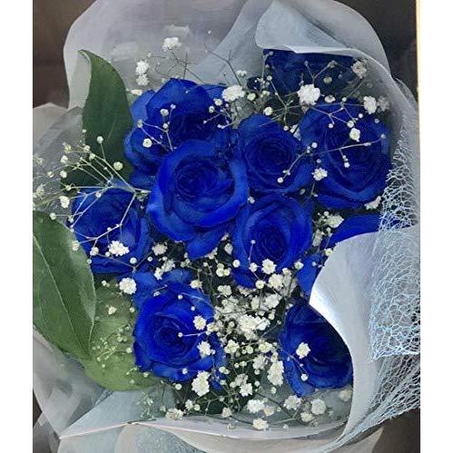 保存版 生花花束 青バラ 奇跡 神の祝福 プロポーズ 誕生日 記念日 花束 青いバラ花束 ベンデラ 薔薇 宅配 大流行中 Huongnghiepaau Edu Vn