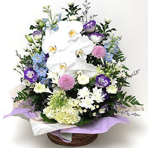 受賞店舗 お彼岸 お供え 仏花 胡蝶蘭 お供え花 アレンジメント サイズで選べる 色合いで選べる エーデルワイス 花工房 M A B07nyw5d29 Oregon1 通販 Yahoo ショッピング 全国組立設置無料 M Mahdi Net