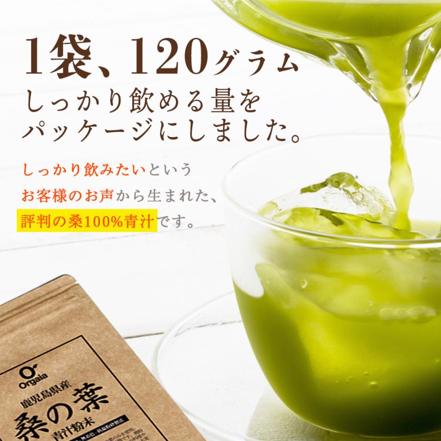 初回お試し 鹿児島県産 桑の葉青汁 桑の葉茶 桑茶粉末 120g（約40日分）国産 有機 桑の葉パウダー 無添加・無着色 オーガニック 桑茶パウダー 無農薬｜orgaia｜11