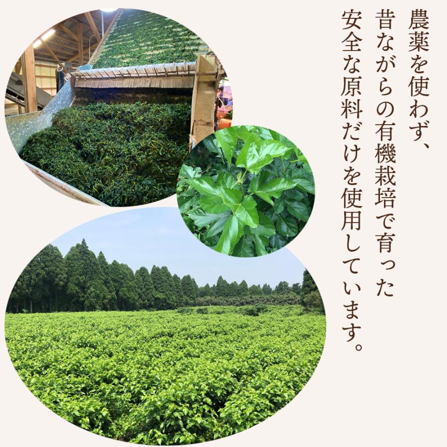 初回お試し 鹿児島県産 桑の葉青汁 桑の葉茶 桑茶粉末 120g（約40日分）国産 有機 桑の葉パウダー 無添加・無着色 オーガニック 桑茶パウダー 無農薬｜orgaia｜04