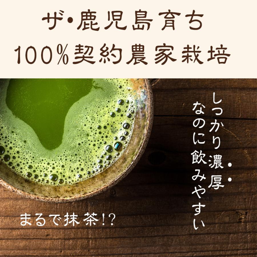 初回お試し 鹿児島県産 桑の葉青汁 桑の葉茶 桑茶粉末 120g（約40日分）国産 有機 桑の葉パウダー 無添加・無着色 オーガニック 桑茶パウダー 無農薬｜orgaia｜05