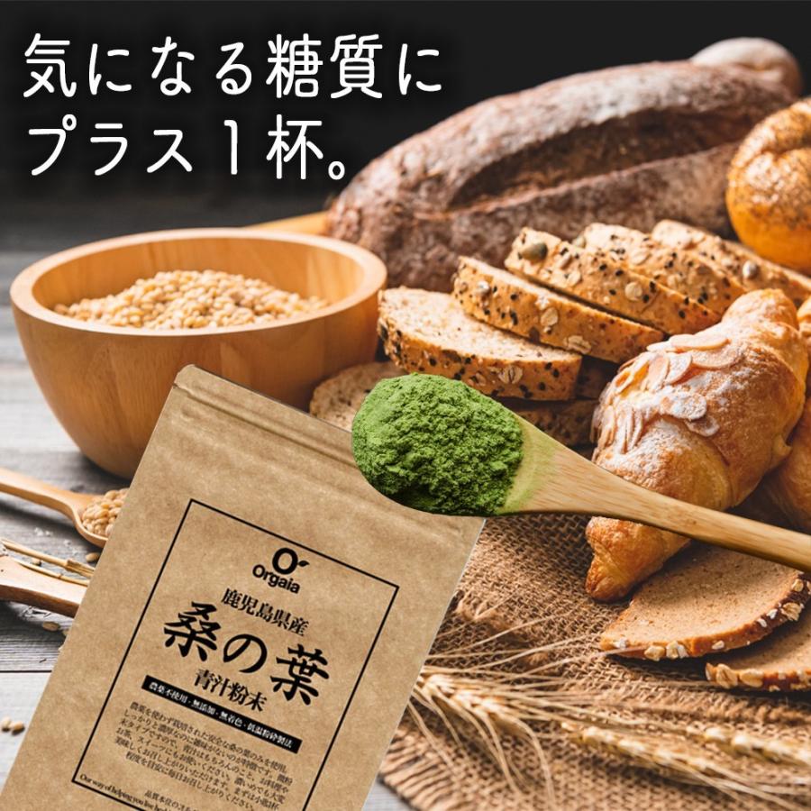 初回お試し 鹿児島県産 桑の葉青汁 桑茶粉末 120g(約40日分)国産 有機 桑の葉パウダー 無添加・無着色 オーガニック :kuwa-otameshi-120g:オルガイアYahoo!店 - 通販 - Yahoo!ショッピング 初回お試し 鹿児島県産 桑の葉青汁 桑茶粉末 120g(約40日分)国産 有機 桑の葉パウダー 無添加・無着色 オーガニック :kuwa-otameshi-120g:オルガイアYahoo!店 - 通販 - Yahoo!ショッピング