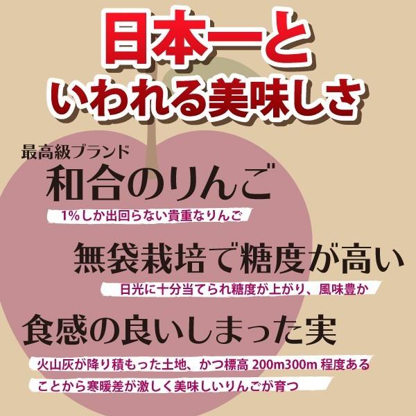 山形県 りんご シナノスイート 和合りんご 贈答用 5kg 14〜18玉 朝日町 10月中旬~順次発送 | ブランド登録なし | 01