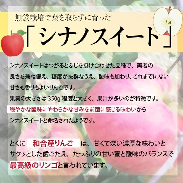 山形県 りんご シナノスイート 和合りんご 贈答用 5kg 14〜18玉 朝日町 10月中旬~順次発送 | ブランド登録なし | 03