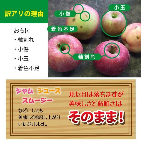 山形県 りんご シナノスイート 和合りんご 訳あり 家庭用 5kg 朝日町 10月中旬~順次発送 | ブランド登録なし | 04