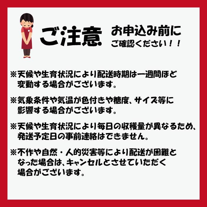 山形県 りんご サンふじ 和合りんご 訳あり 家庭用 2kg 朝日町 12月上旬〜順次発送 | ブランド登録なし | 05