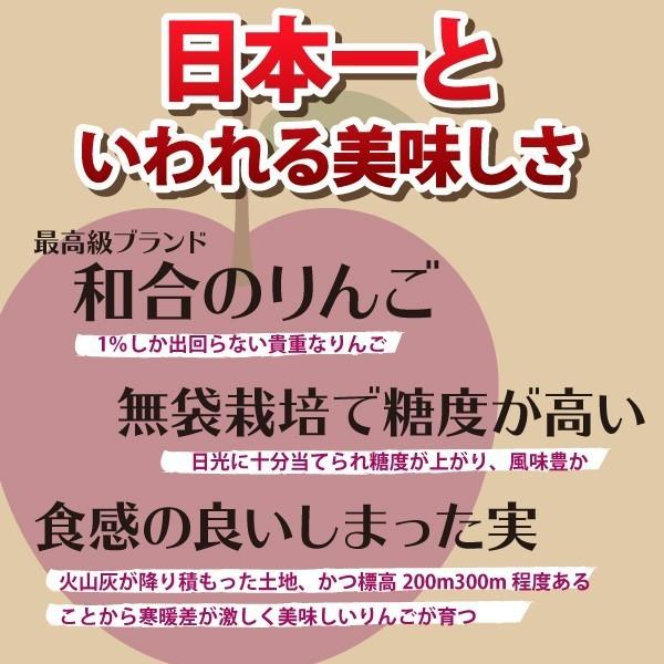 山形県 りんご サンふじ 和合りんご 訳あり 家庭用 5kg 朝日町 12月上旬〜順次発送 | ブランド登録なし | 01