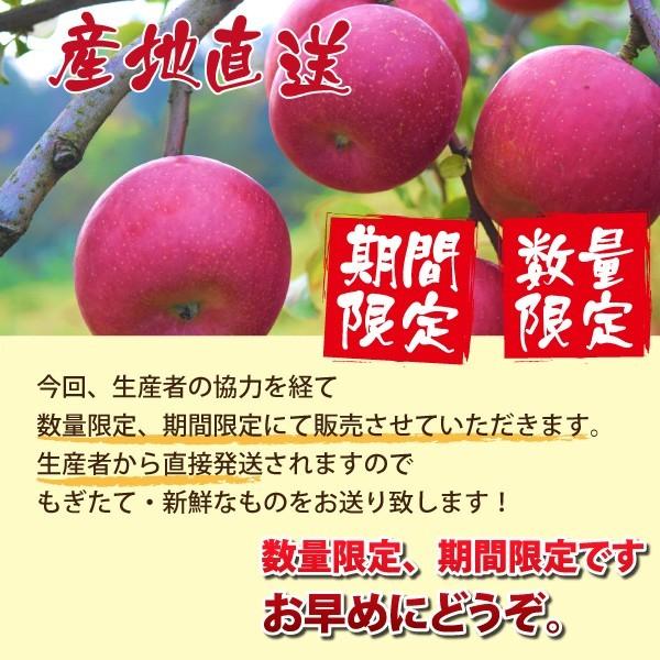 山形県 りんご 高徳（こうとく） 和合りんご 秀品 2kg 朝日町 11月上旬〜順次発送 | ブランド登録なし | 03