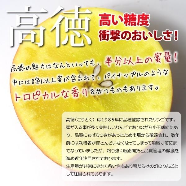 山形県 りんご 高徳（こうとく） 和合りんご 秀品 3kg 朝日町 11月上旬〜順次発送 | ブランド登録なし | 02