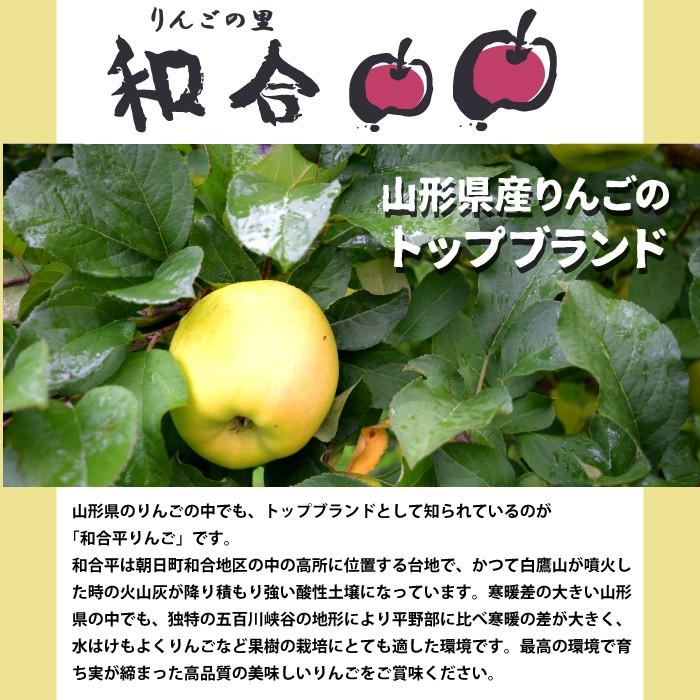 山形県朝日町和合平産 和合平りんご はるか 蜜が入る黄色いりんご 訳あり 3kg 産地直送 送料無料 沖縄 離島を除く 12月上旬 順次発送 Ap 022 おがる 通販 Yahoo ショッピング