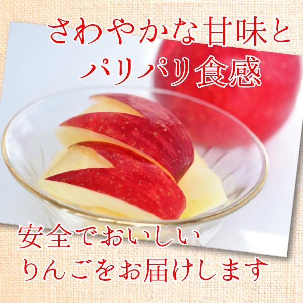 山形県 サンふじ 和合りんご スマートフレッシュ  訳あり 家庭用 5kg 朝日町 | ブランド登録なし | 05