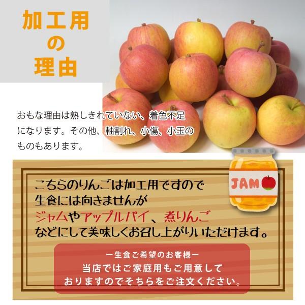 山形県 サンふじ 和合りんご スマートフレッシュ 加工用 10kg 朝日町 | ブランド登録なし | 03