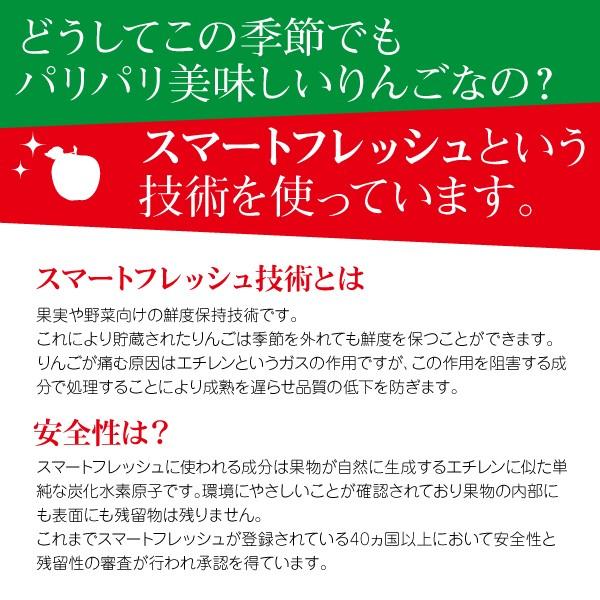 山形県 サンふじ 和合りんご スマートフレッシュ 加工用 10kg 朝日町 | ブランド登録なし | 04