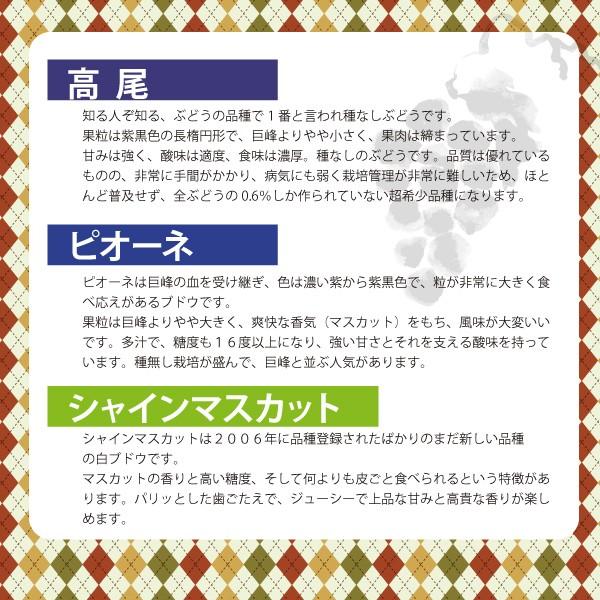 山形県 ぶどう ピオーネ 特秀品 約1.8kg 3〜4房 朝日町 減農薬 9月中旬〜順次発送 | ブランド登録なし | 03