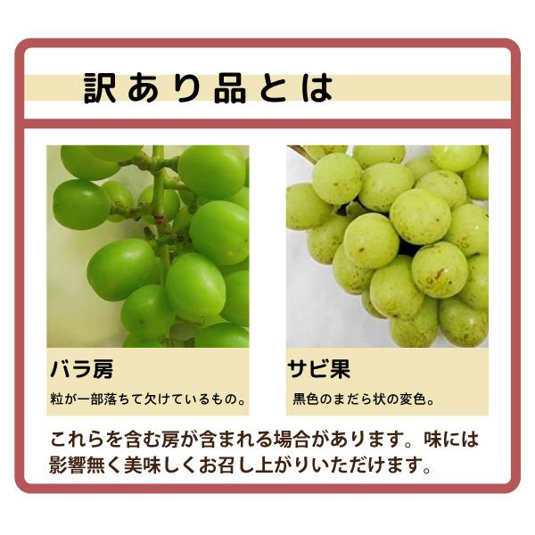 【訳あり】山形県産 減農薬 シャインマスカット 粒 山形県 ぶどう シャインマスカット 訳あり 約1.8kg 3〜5房 朝日町 減