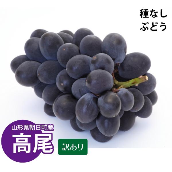 21年先行予約 山形県朝日町産 種なしぶどう 高尾 約1 8kg 4 6房 減農薬 訳あり 産地直送 送料無料 沖縄 離島を除く 9月中旬から御注文順に順次発送 009 おがる 通販 Yahoo ショッピング