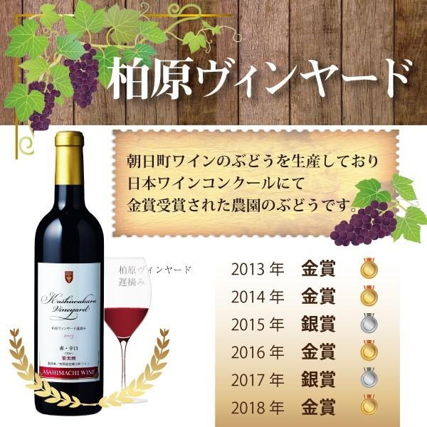 山形県 ぶどう 高尾 訳あり 約1.8kg 3〜6房 朝日町 減農薬 9月上旬〜順次発送 | ブランド登録なし | 01