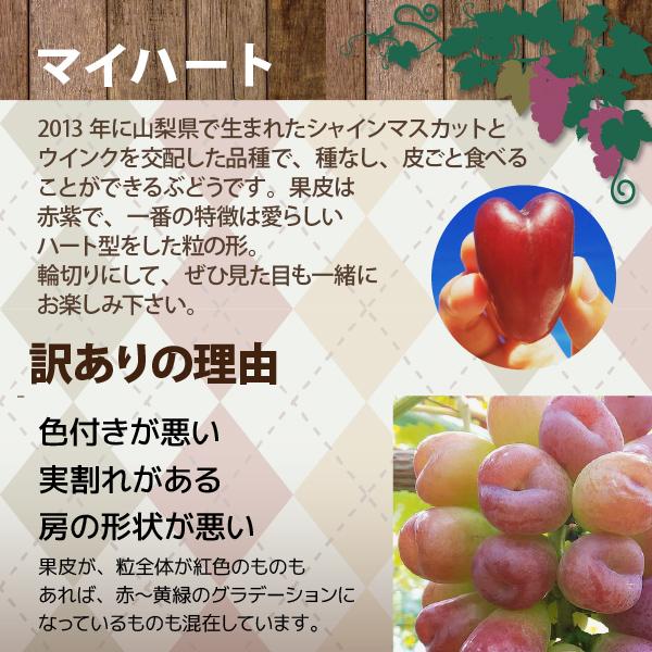 山形県 ぶどう マイハート 訳あり 約1.2kg 2〜3房 朝日町 減農薬 10月上旬〜順次発送 | ブランド登録なし | 04
